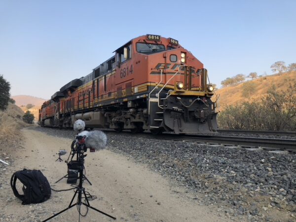 Train Life - Image 2