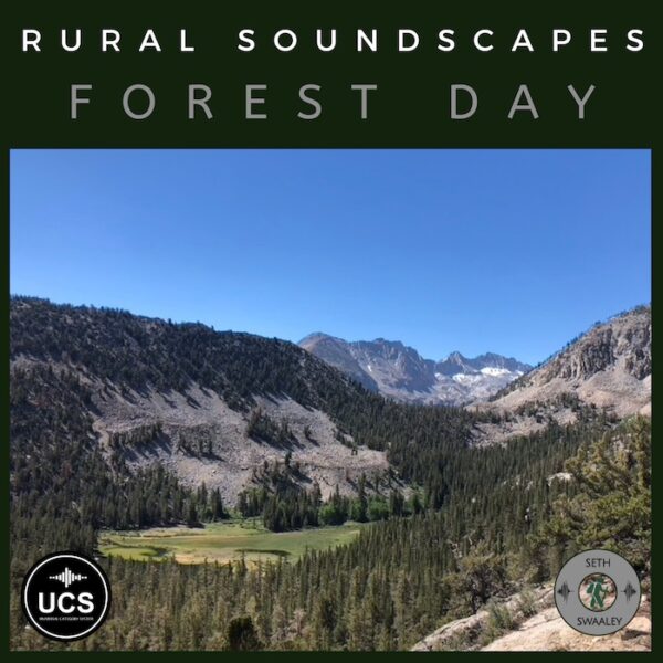 Forest Day