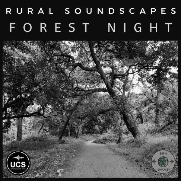 Forest Night