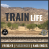 Train Life