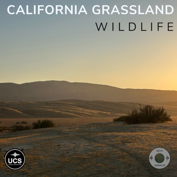 California Grassland Wildlife