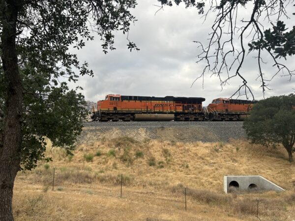 Train Life 2 - Image 2