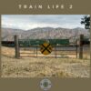 Train Life 2