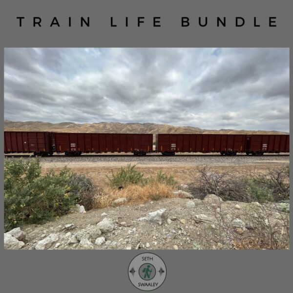 Train Life Bundle