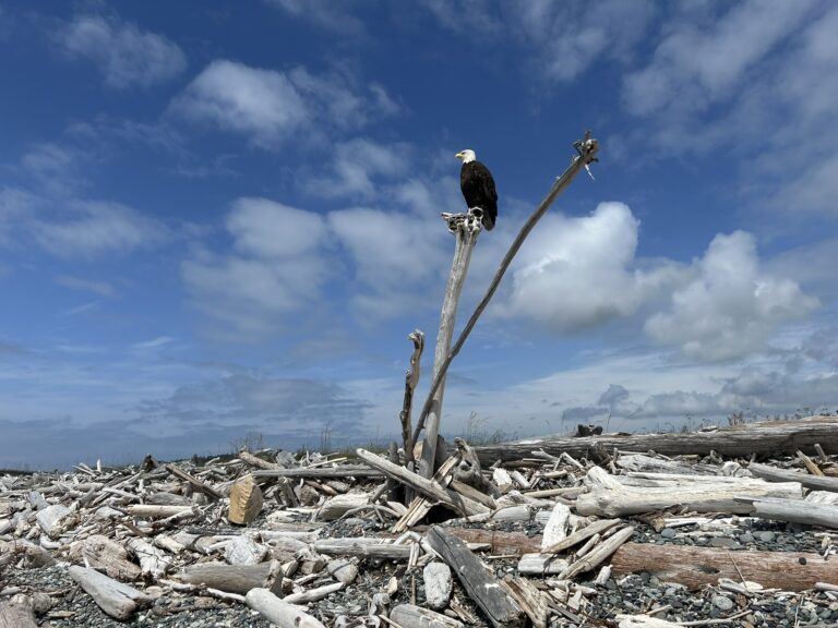 F7A68315-2B2D-4328-82B0-6E49D4CB7D8A_1_102_o