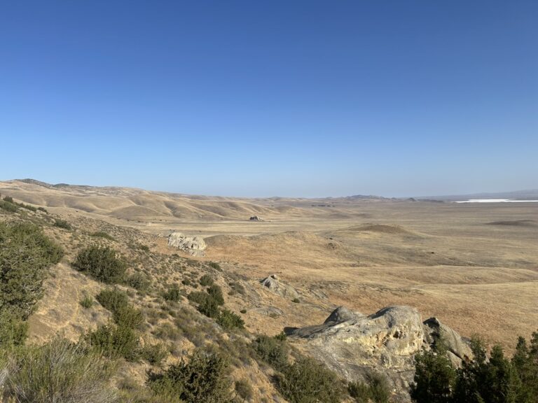 85803912-08DF-469D-99BC-6885451D6BB2_1_105_c