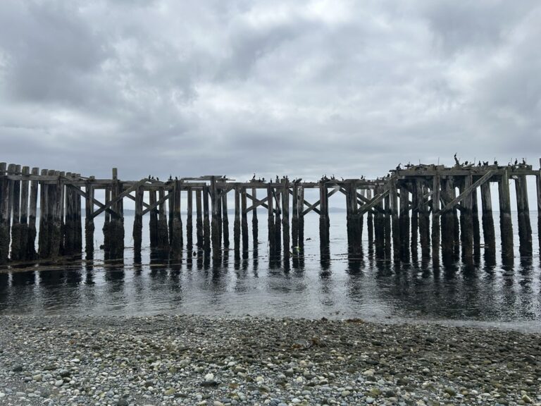 D872E0B4-CD2E-4361-BB91-6A7571EE0DBA_1_105_c