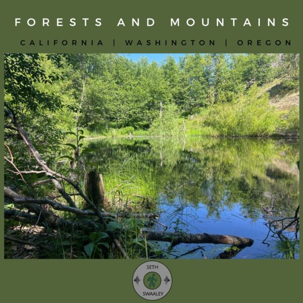 Forests and Mountains