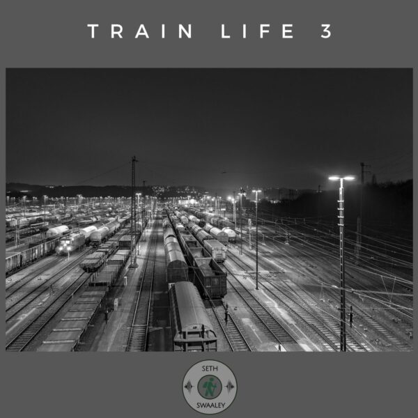 Train Life 3