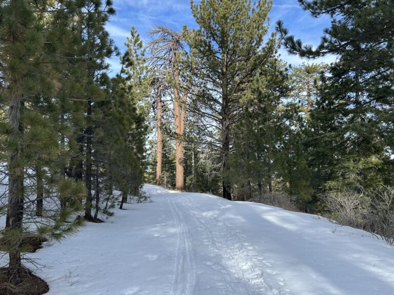 C4326921-D95C-4590-A49F-ACB426764E09_1_105_c